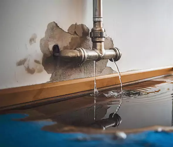 Professional Water Damage Restoration Experts in Ontario, CA — Fast, Reliable & Certified