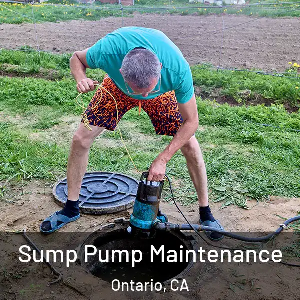 Sump Pump Maintenance Ontario, CA