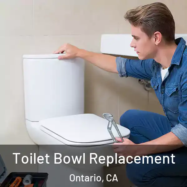  Toilet Bowl Replacement Ontario, CA