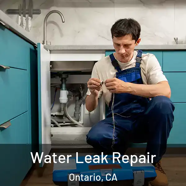  Water Leak Repair Ontario, CA